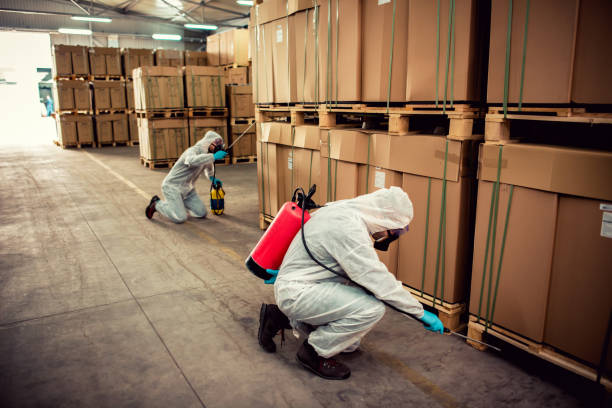Best Bed Bug Extermination  in Bedford Heights, OH