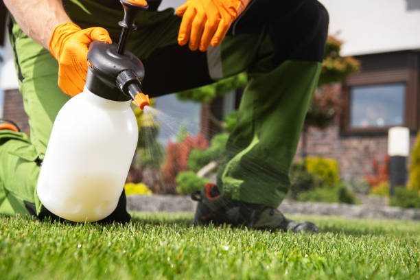 Best Residential Pest Control  in Bedford Heights, OH