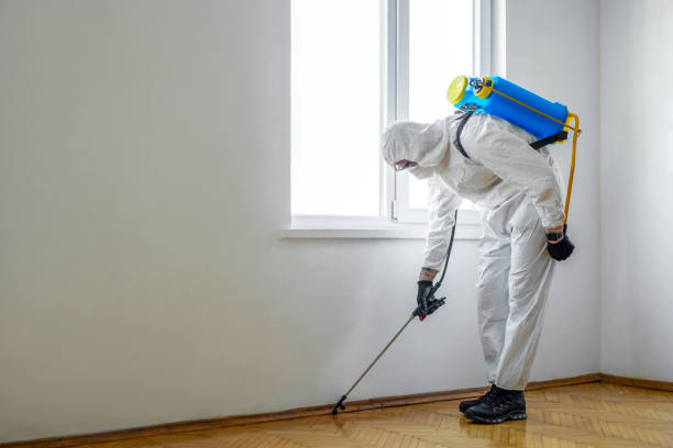 Trusted Bedford Heights, OH Pest Control Experts