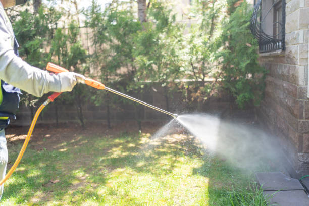 Pest Prevention Services in Bedford Heights, OH
