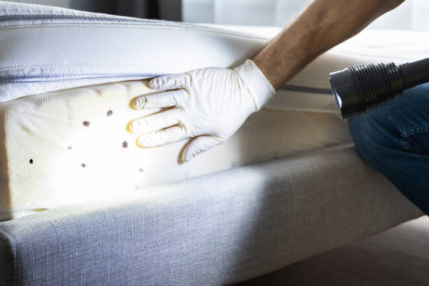 Best Pest Control for Restaurants  in Bedford Heights, OH