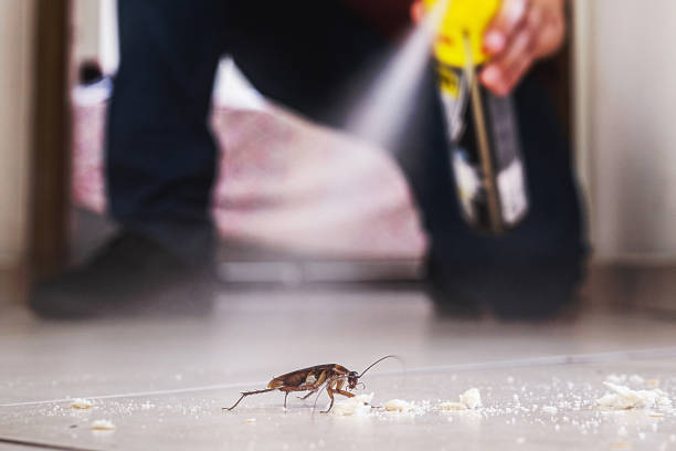 Best Exterminator Services  in Bedford Heights, OH