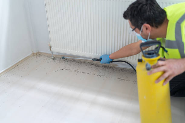 Best Pest Control for Homes  in Bedford Heights, OH