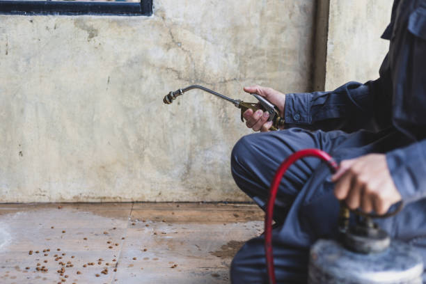 Best Affordable Pest Control Services  in Bedford Heights, OH